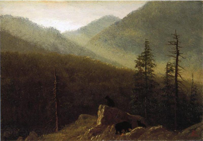 Albert Bierstadt Bears in the Wilderness Spain oil painting art
